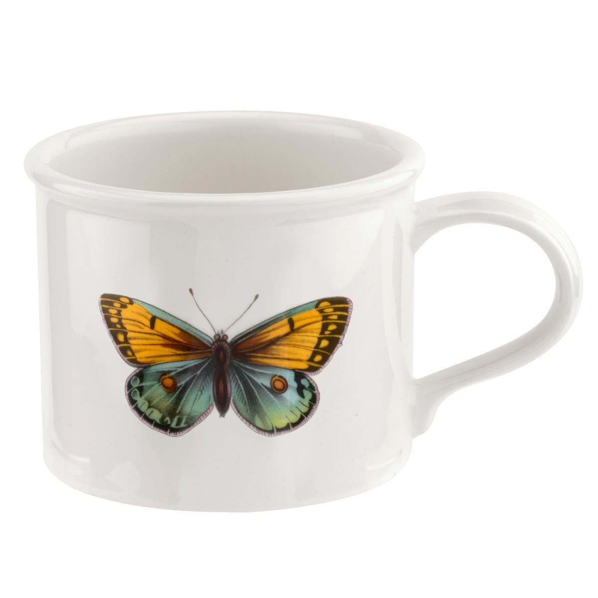 Botanic Garden Papilio Cup & Saucer, Amber image number null